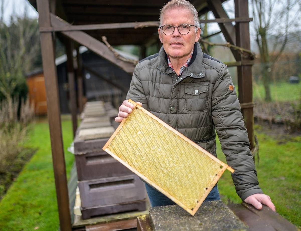 Hans-Wilhelm Kessel präsentiert eine Bienenwabe vor den Bienenstöcken im Garten